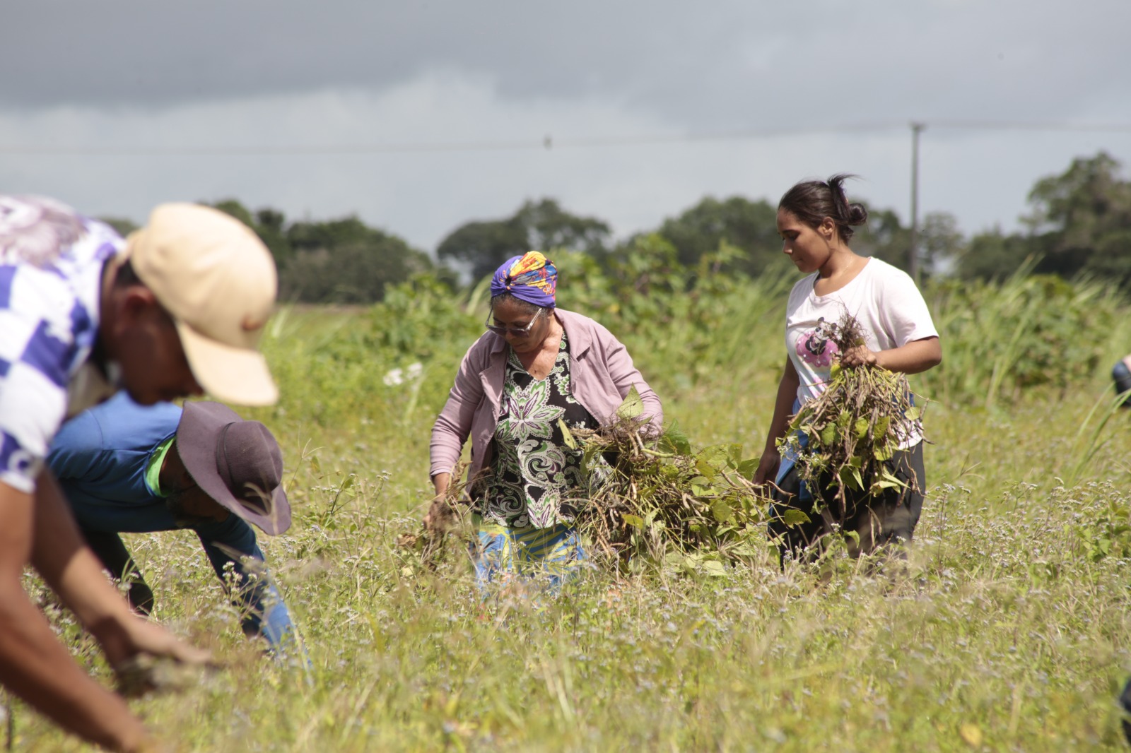 Projeto Maná fortalece a agricultura familiar em Coruripe